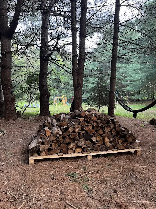 Camp Shabbat Picture 7