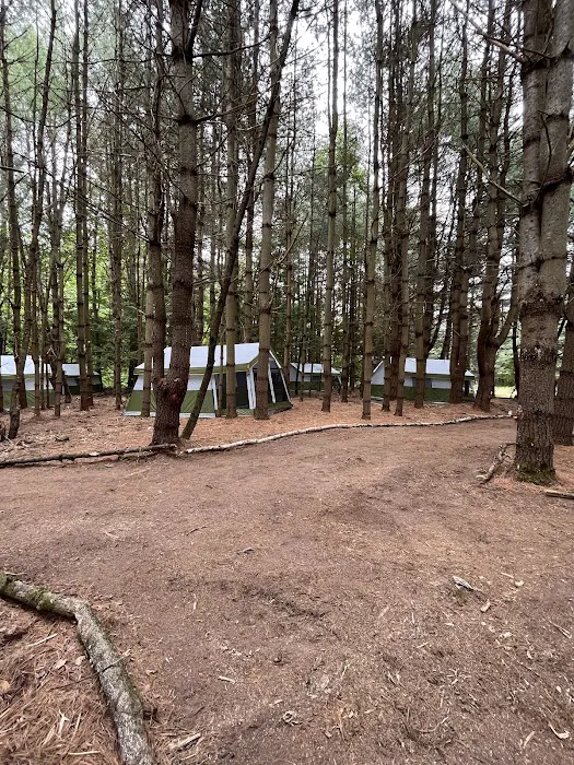Camp Shabbat Picture 8