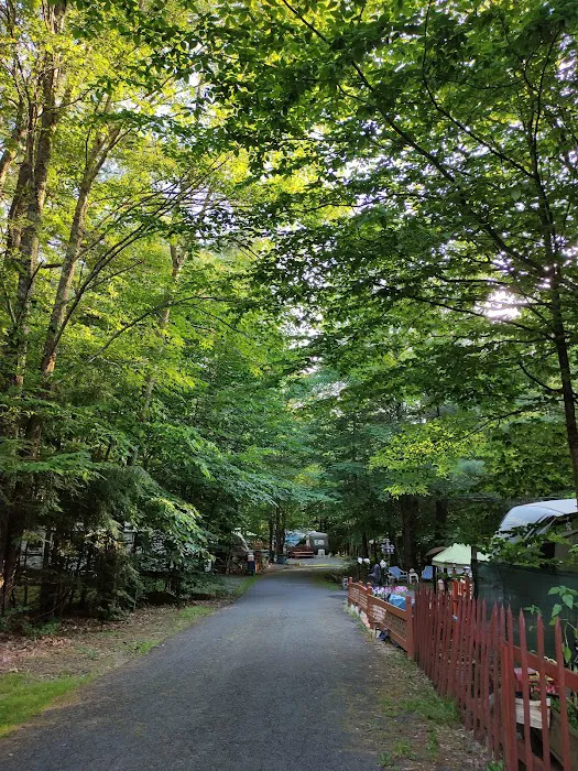 Mountaindale Campground Picture 2