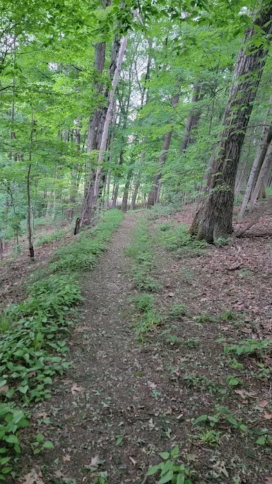 Brook n Wood Family Campground Picture 10