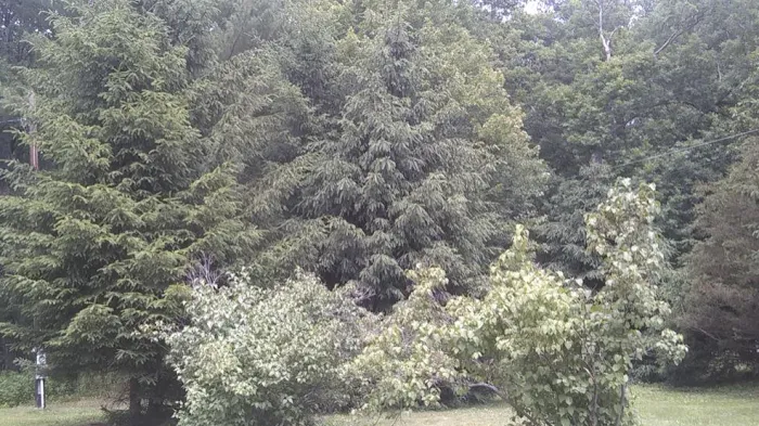 Brookside Mobile Home Park Picture 3