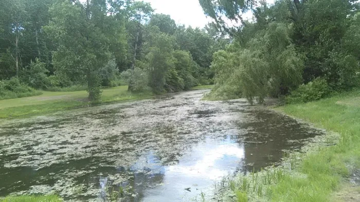 Brookside Mobile Home Park Picture 6