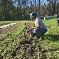 Liberation Farm ico