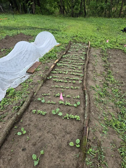 Liberation Farm Picture 3