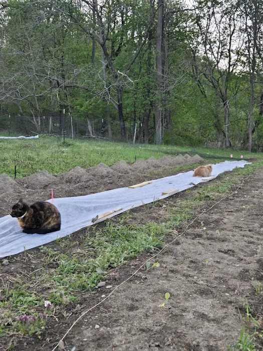Liberation Farm Picture 2