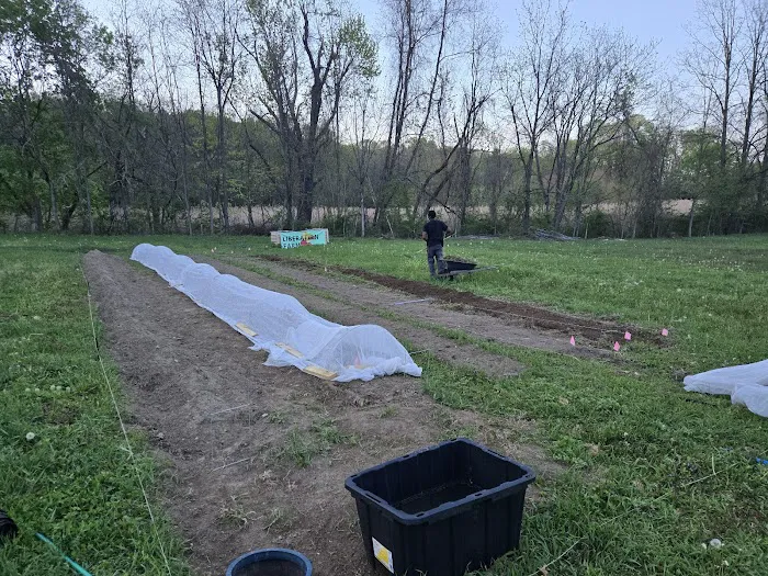 Liberation Farm Picture 6