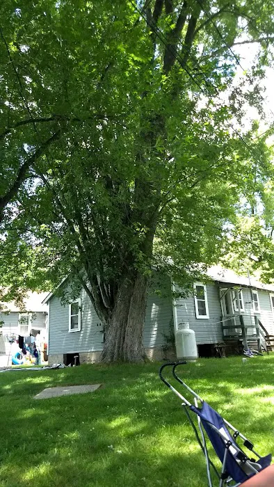 Charlies Lakeside Colony Picture 3