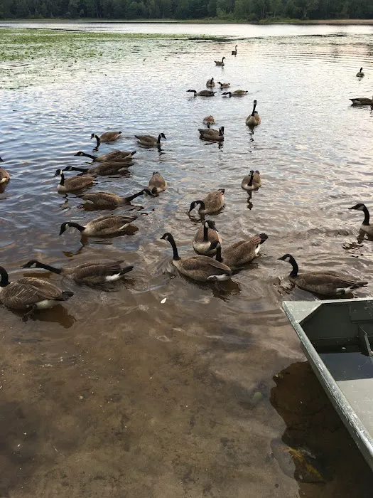 Charlies Lakeside Colony Picture 10