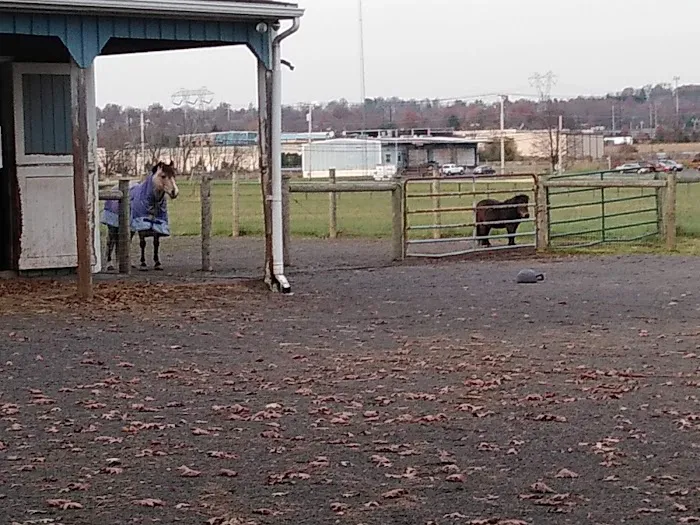 Oak Grove Park & Sales Picture 5
