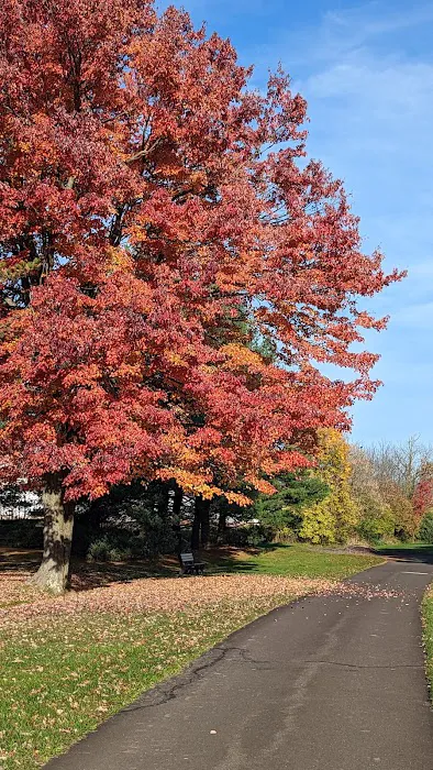 Oak Grove Park & Sales Picture 7