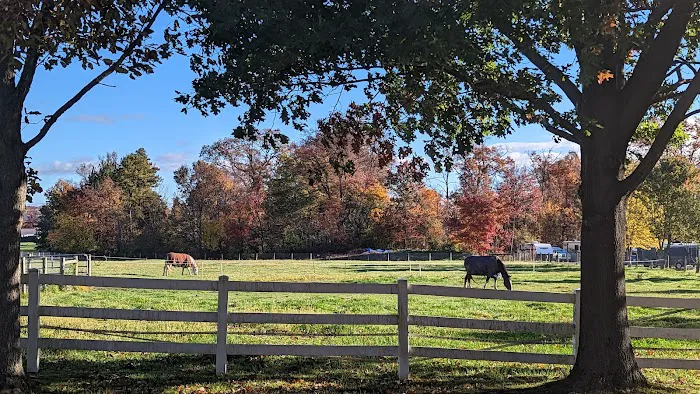 Oak Grove Park & Sales Picture 9