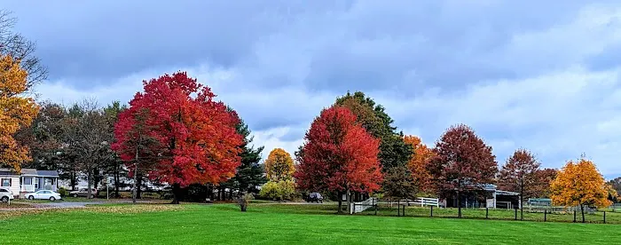 Oak Grove Park & Sales Picture 10