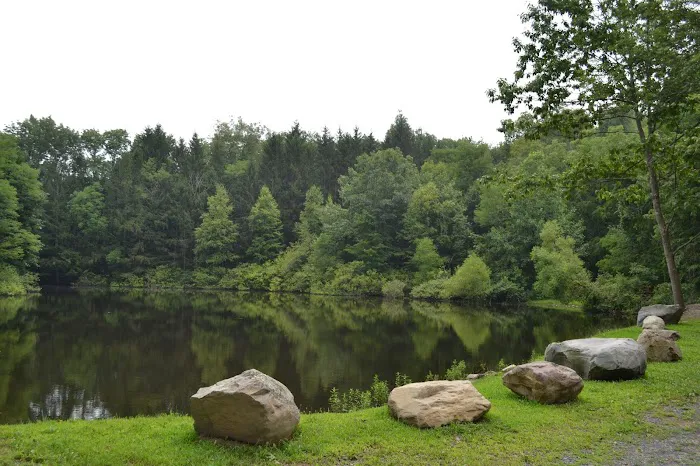 Cranberry Run Campground Picture 4