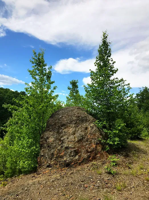 Cranberry Run Campground Picture 6