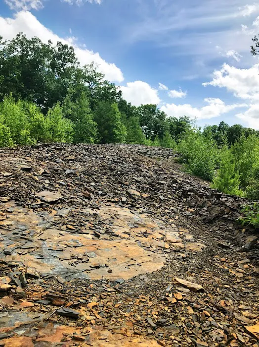 Cranberry Run Campground Picture 7