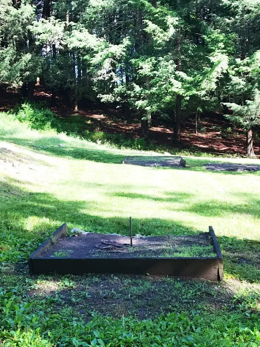 Cranberry Run Campground Picture 8