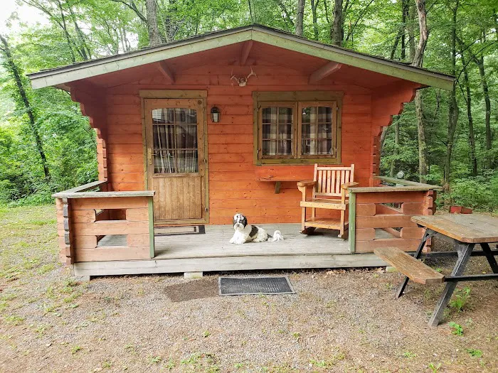 Pocono Vacation Park Picture 3