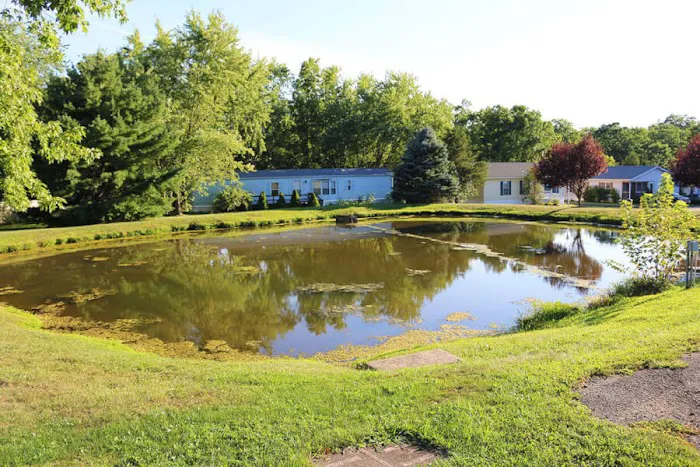ABC Home Sales - Green Hill Picture 6