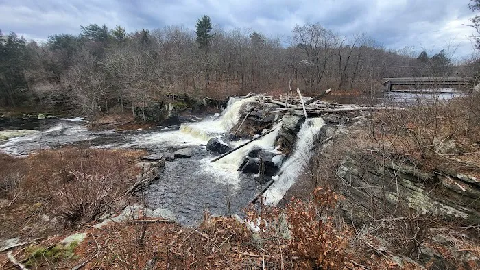 Resica Falls Scout Reservation Picture 2
