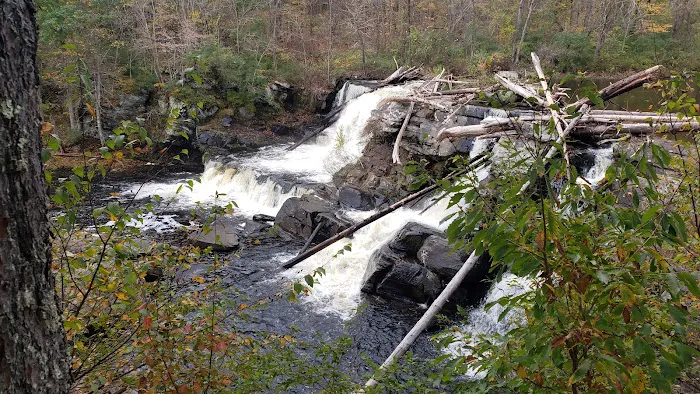 Resica Falls Scout Reservation Picture 8