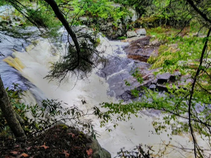 Resica Falls Scout Reservation Picture 9