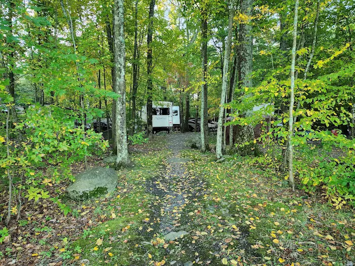 Otter Lake Camp-Resort Picture 5