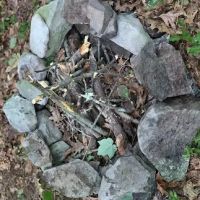 State Forest Campsite #S006 ico