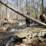 State Forest Campsite #S001