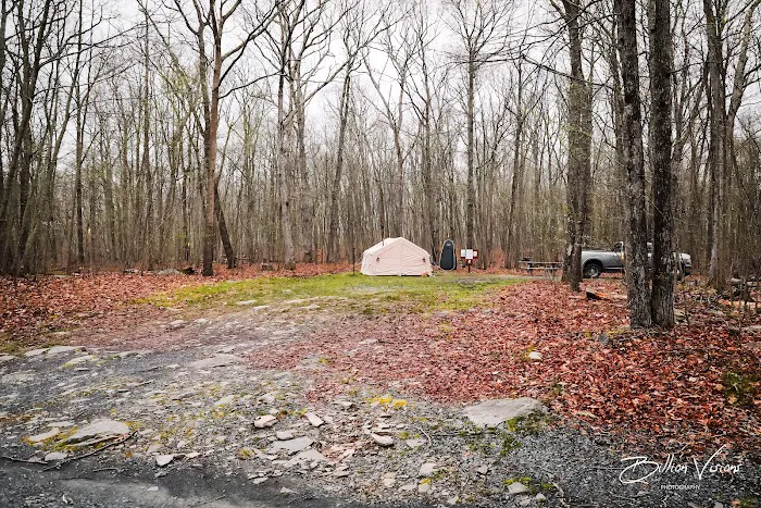 State Forest Campsite #S001 Picture 4