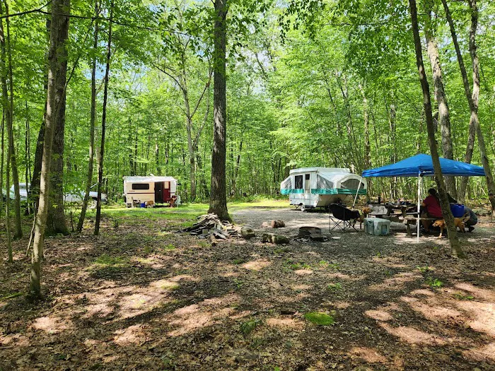 State Forest Campsite #S001 Picture 6