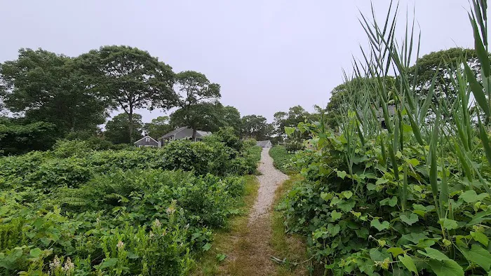 Harbor Village Cottages Picture 10