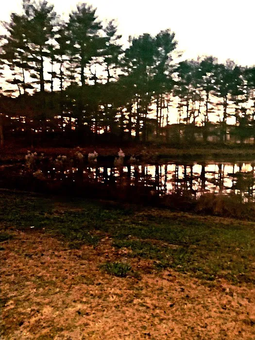 Holly Green Camping Grounds Picture 1