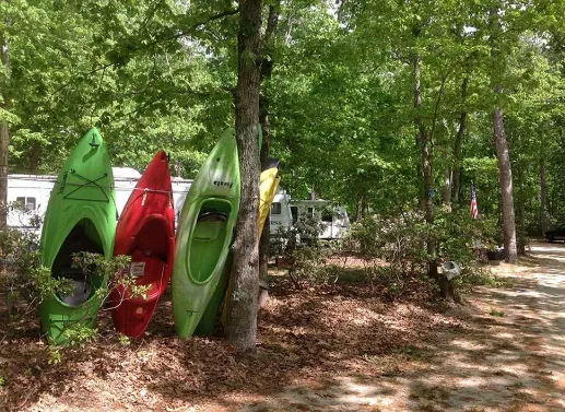 Winding River Campground Picture 8