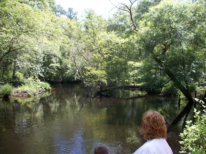Winding River Campground Picture 4