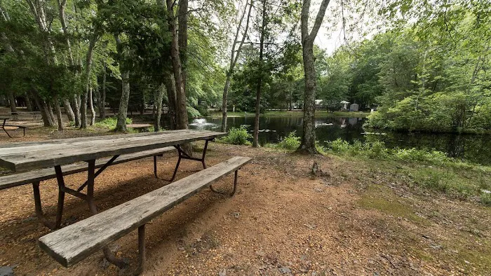Mays Landing Campground Picture 2