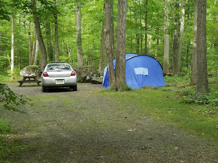Homestead Family Campground Picture 3