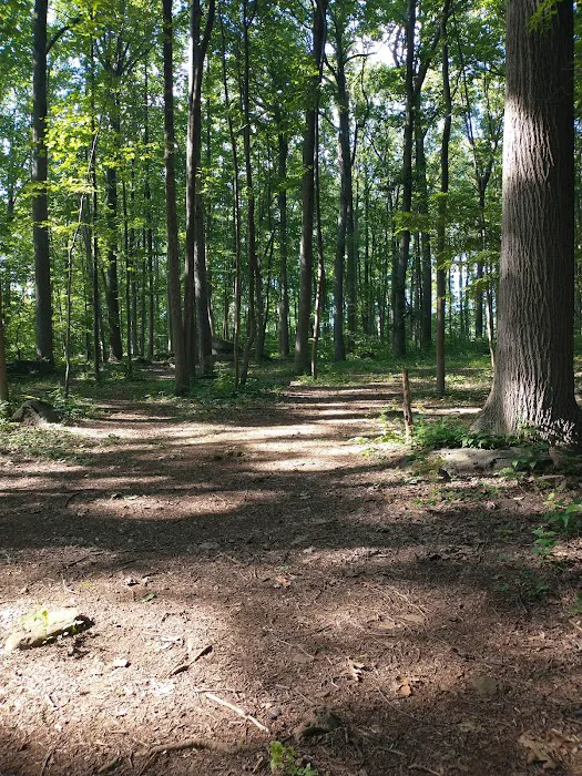 Boulder Woods Campground Picture 2