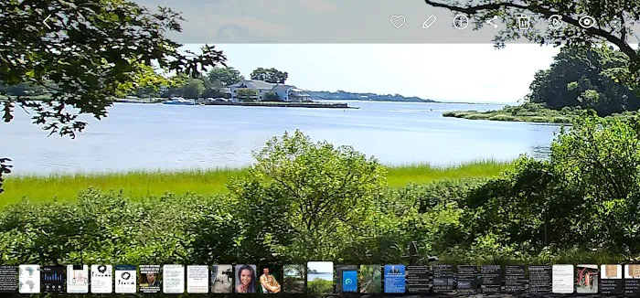Indian Island Campground Picture 4