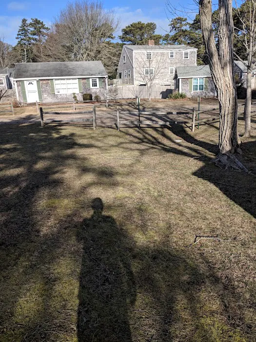 The Willows Cottages Picture 6