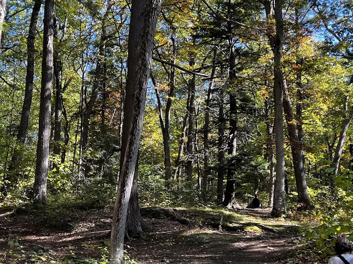 Fahnestock State Park Campground Picture 6