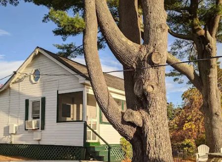 New Harbor View Cottages