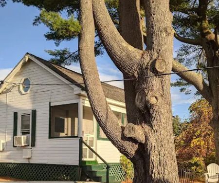 New Harbor View Cottages
