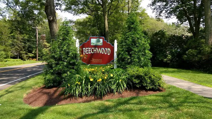 Beechwood Picture 8