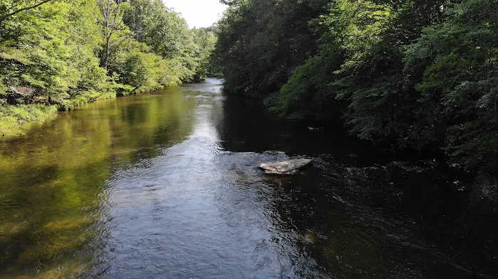 Neversink Sanctuary Picture 7