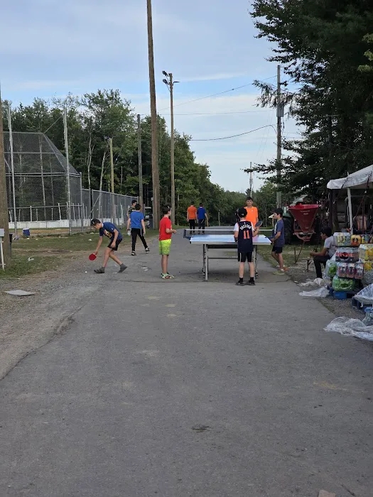 Camp Aish Picture 1
