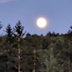 Eretz HaChaim Czernowitz