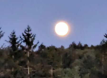 Eretz HaChaim Czernowitz