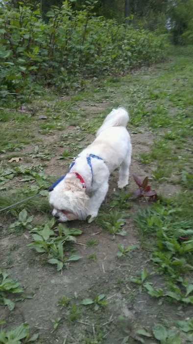Village Park Inc Picture 8