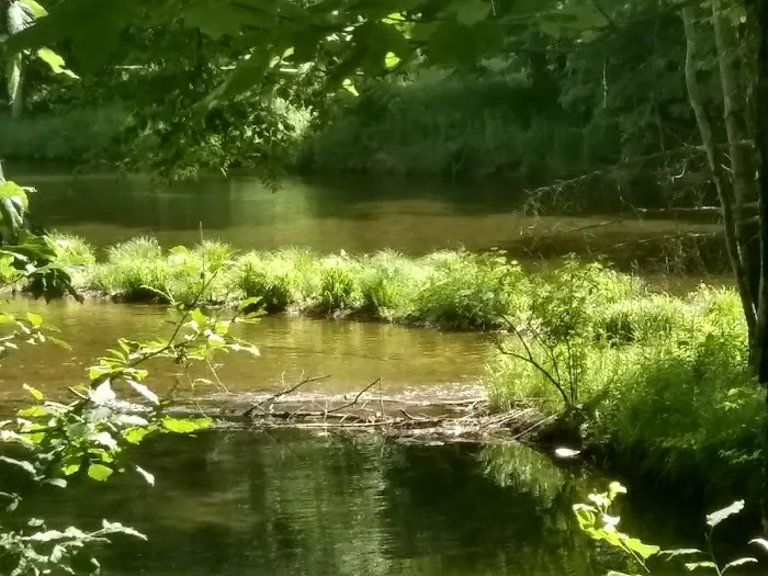 Neversink River Campgrounds Picture 2