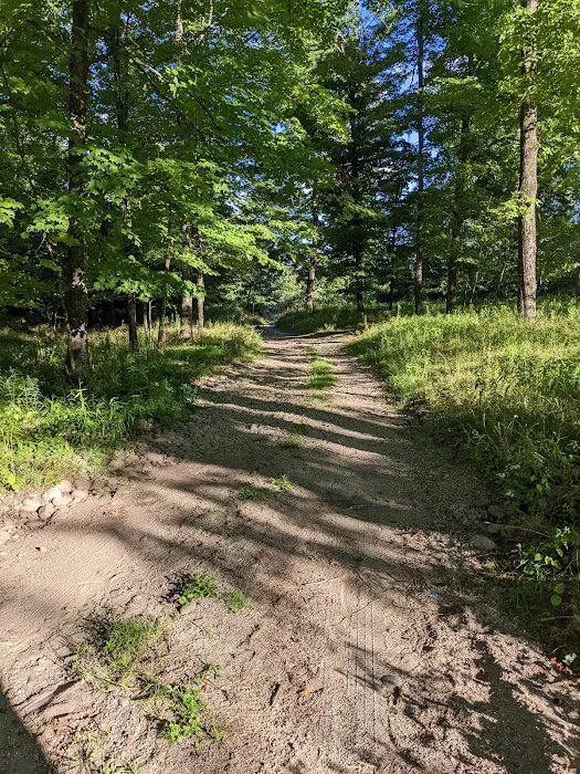 Neversink River Campgrounds Picture 9